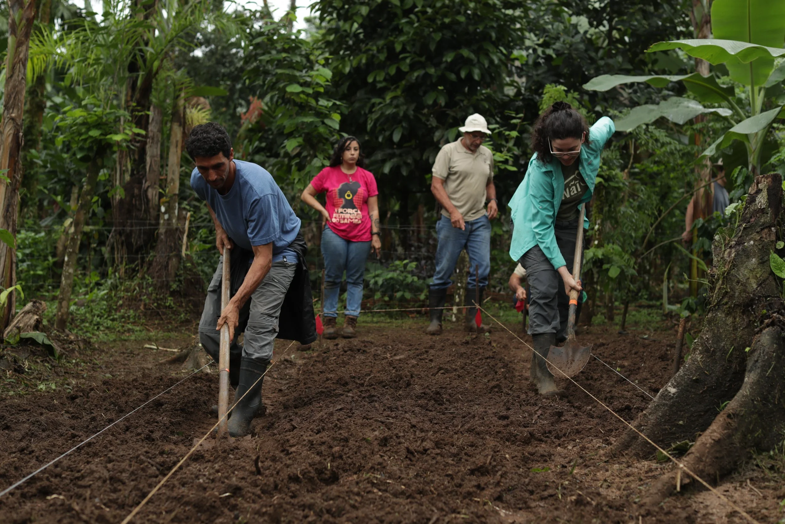 Ordering the Chaos: Our FREE Tropical Master Plant List