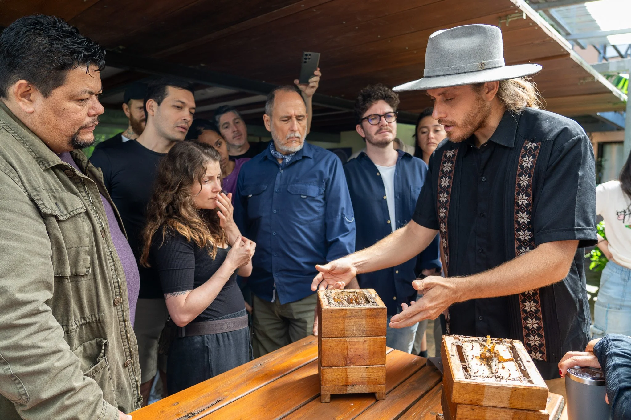 Tropical Permaculture Design Course - Online