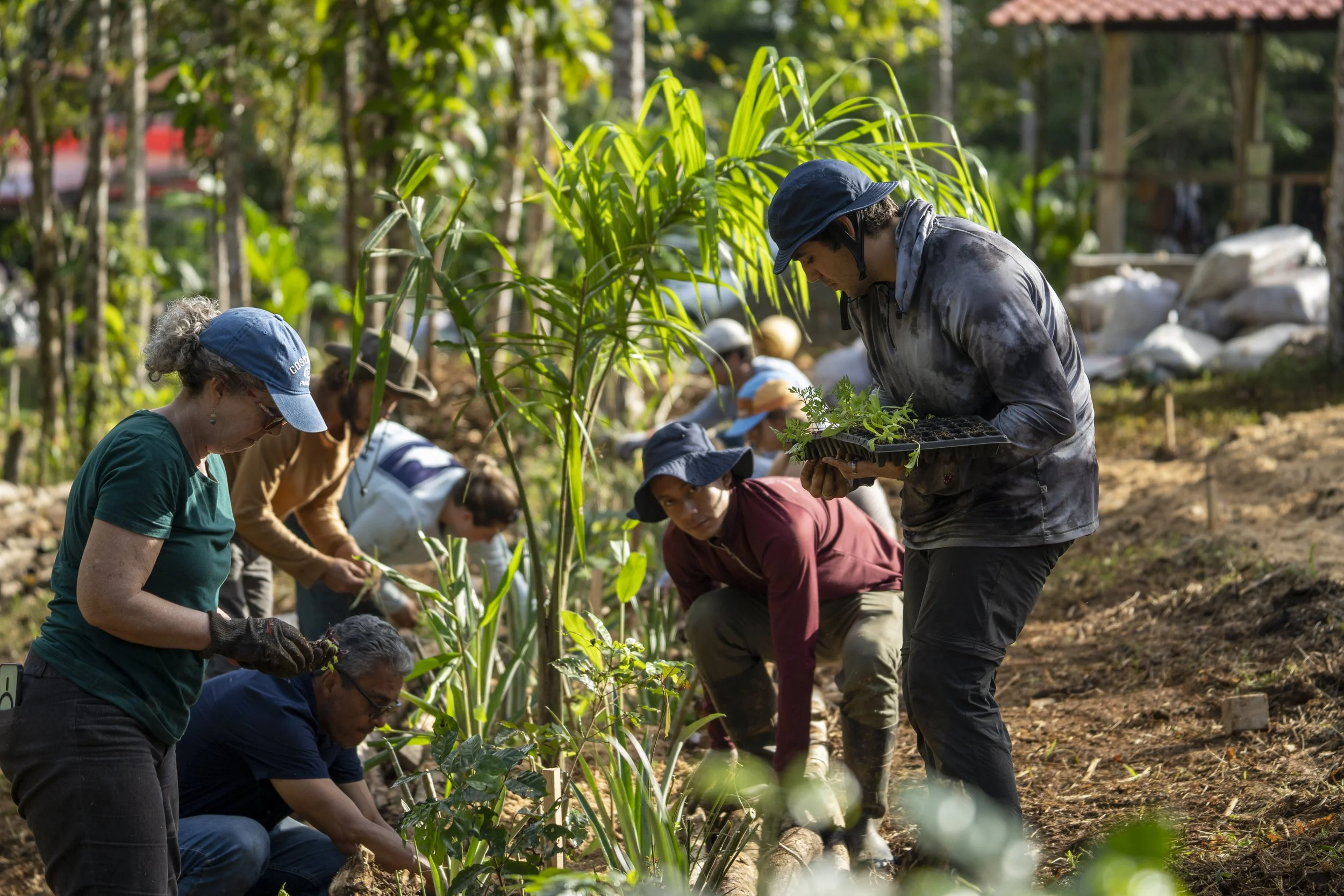 Introduction to Syntropic Farming - Rio Celeste, Costa Rica