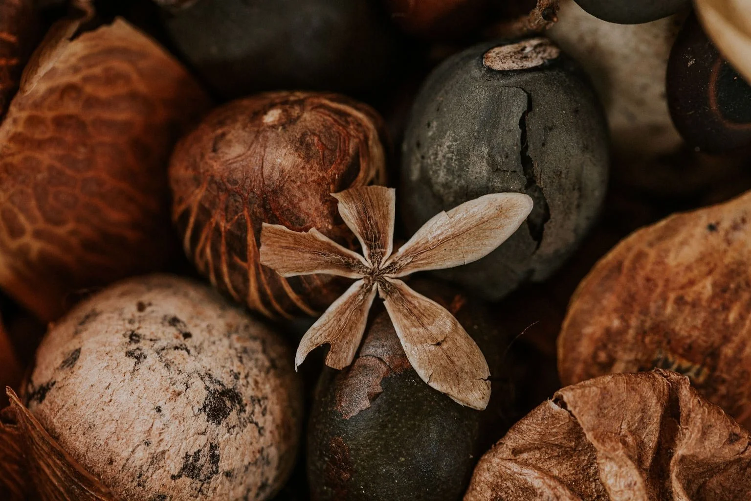 2023 Tierramor Syntropic Course Sol_9R1A7568.JPG