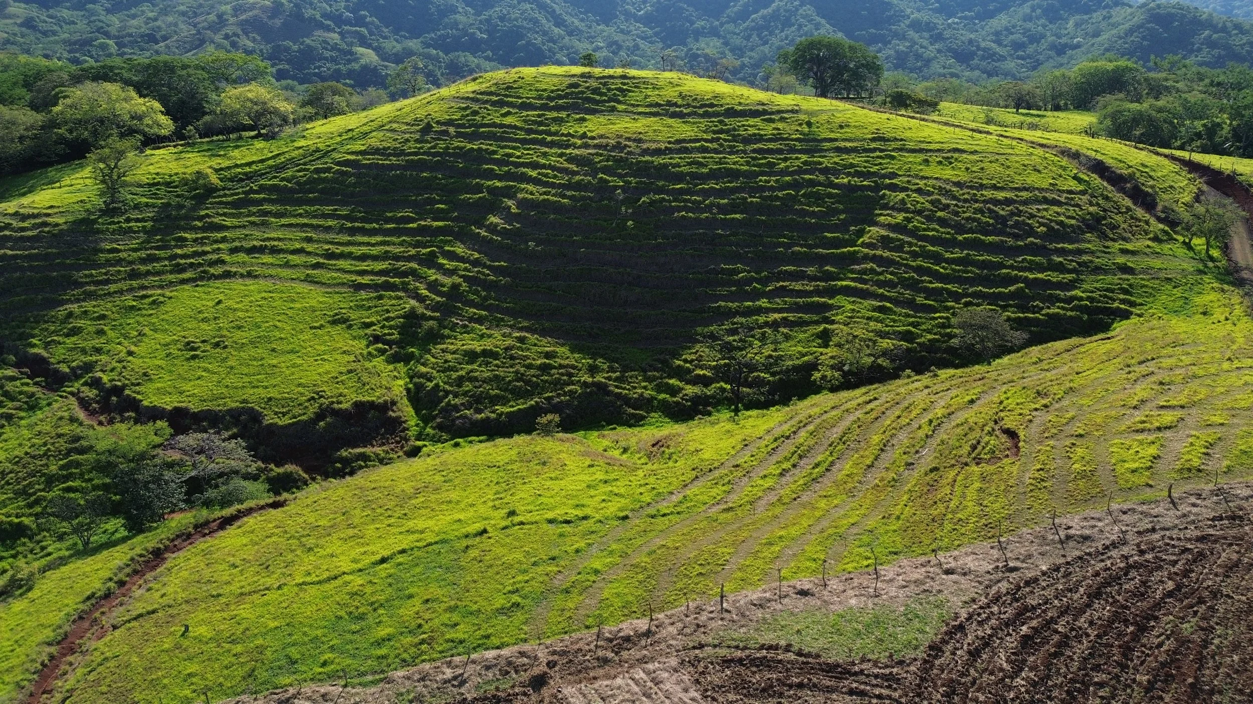 2023 Tierramor Syntropic Course Drone_DJI_0779.JPG