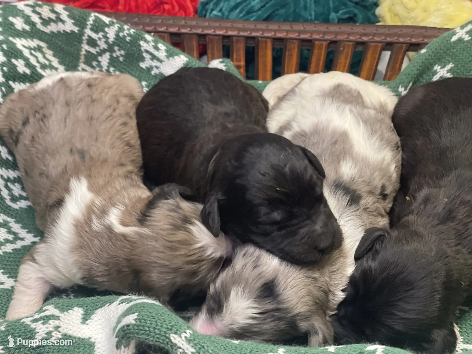 Humble~Male~Reserved~$1,800