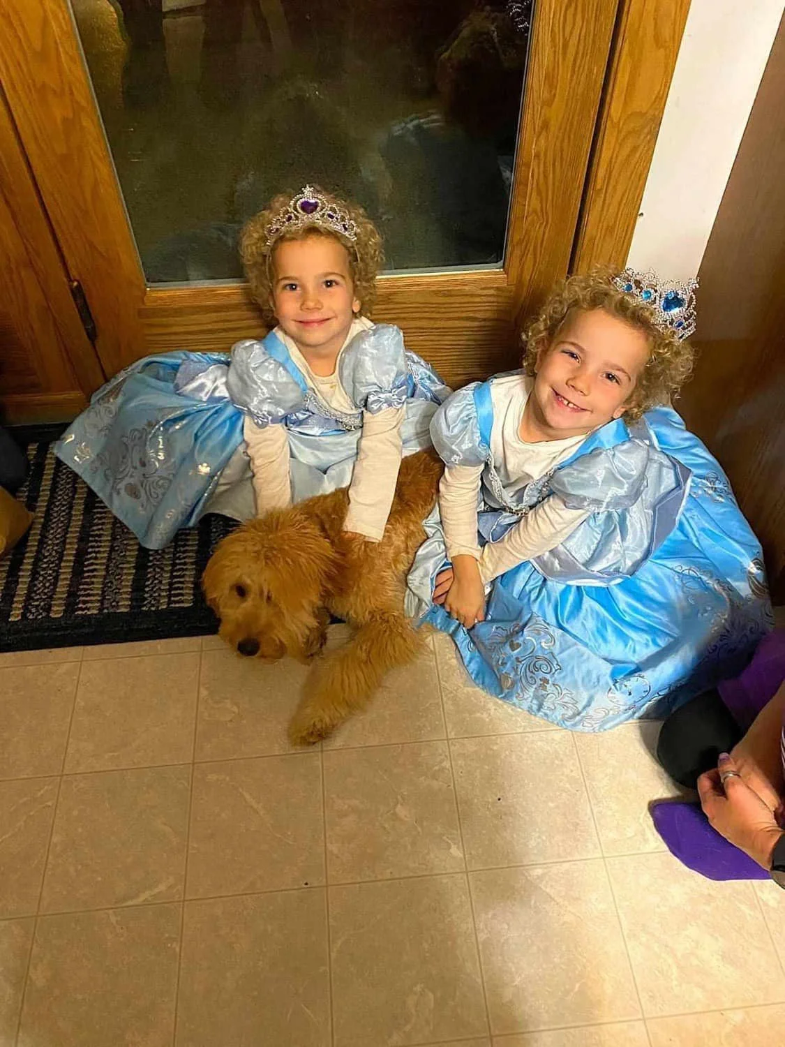 Two young children in princess costumes with tiaras, sitting on the floor with a brown dog in front of a glass door.
