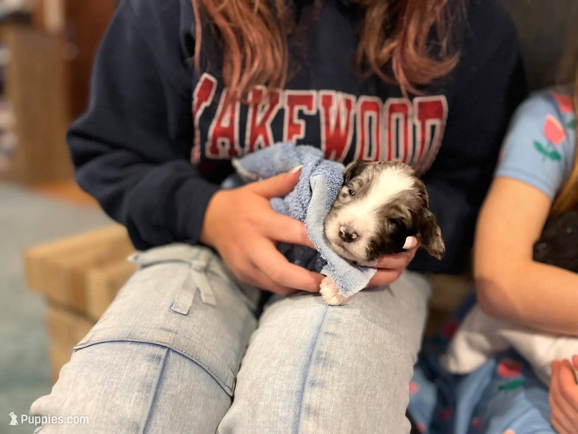 Hermey~Male~Reserved~$1,600
