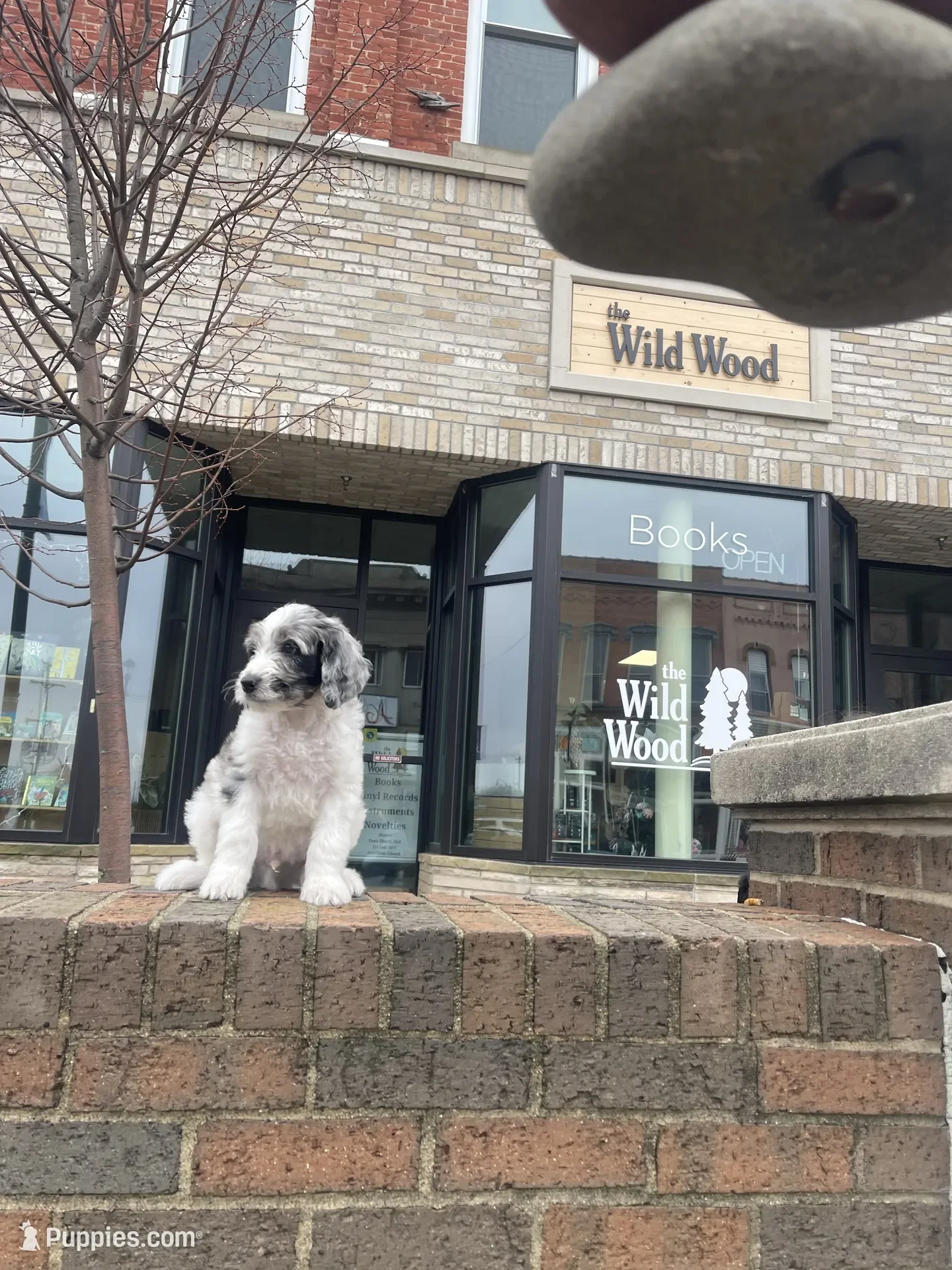 Hermey~Male~Reserved~$1,600