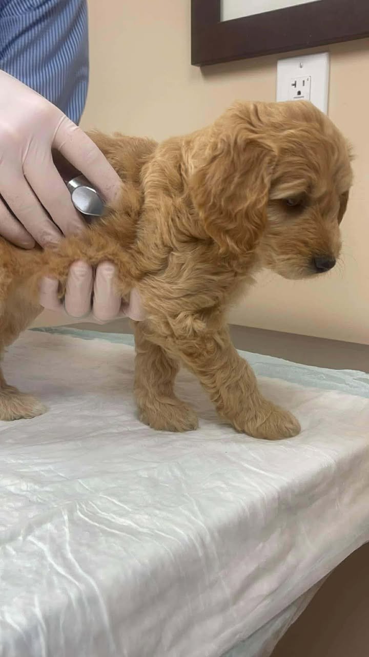 589620010_1404389578049933_4064018171397357401_n (1).jpg