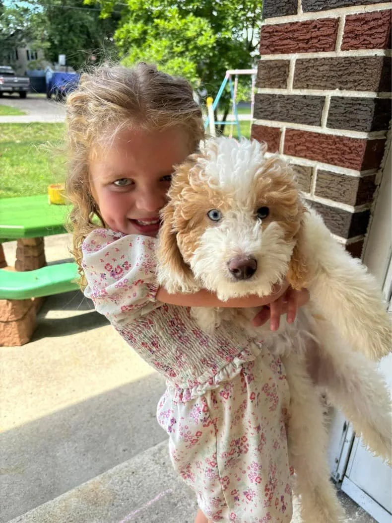 A young girl with curly blonde hair holding a fluffy puppy with white and brown fur outside near a brick wall.