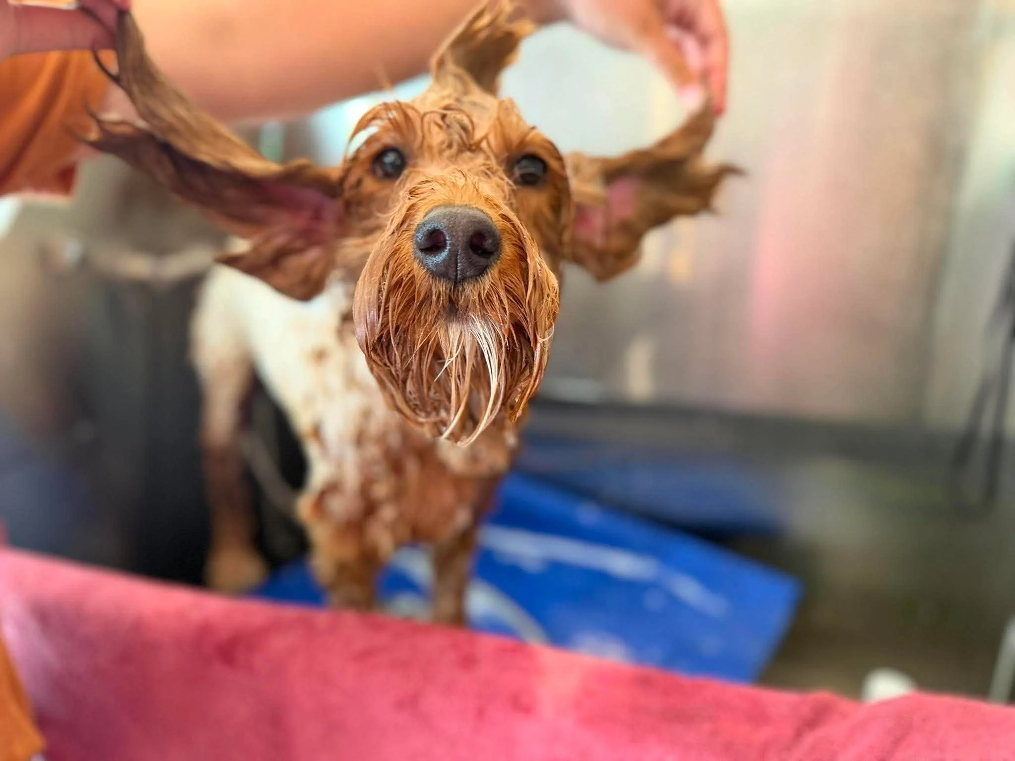 OAKEN BATH.jpg