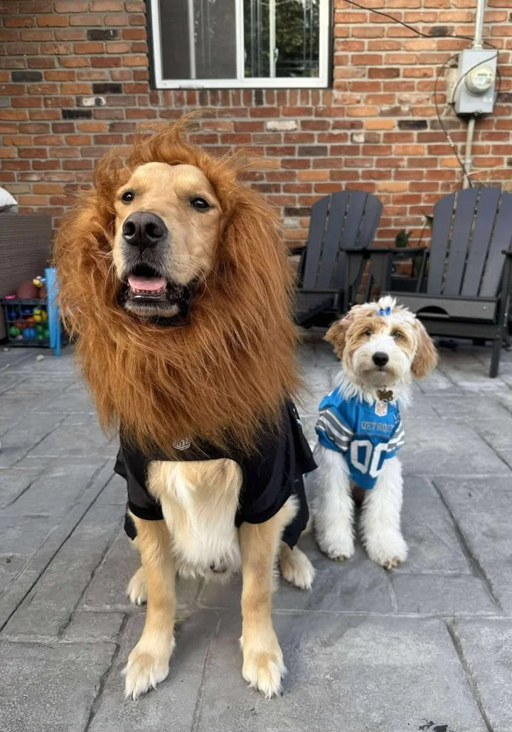 565986270_1694003014629714_6047853732030650780_n (1).jpg