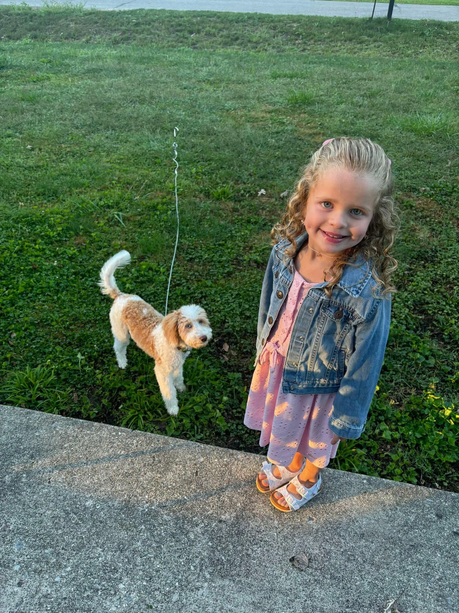 A young girl with curly blonde hair wearing a pink dress, denim jacket, and sandals, smiling outdoors on a concrete sidewalk next to a small brown and white puppy on a leash.