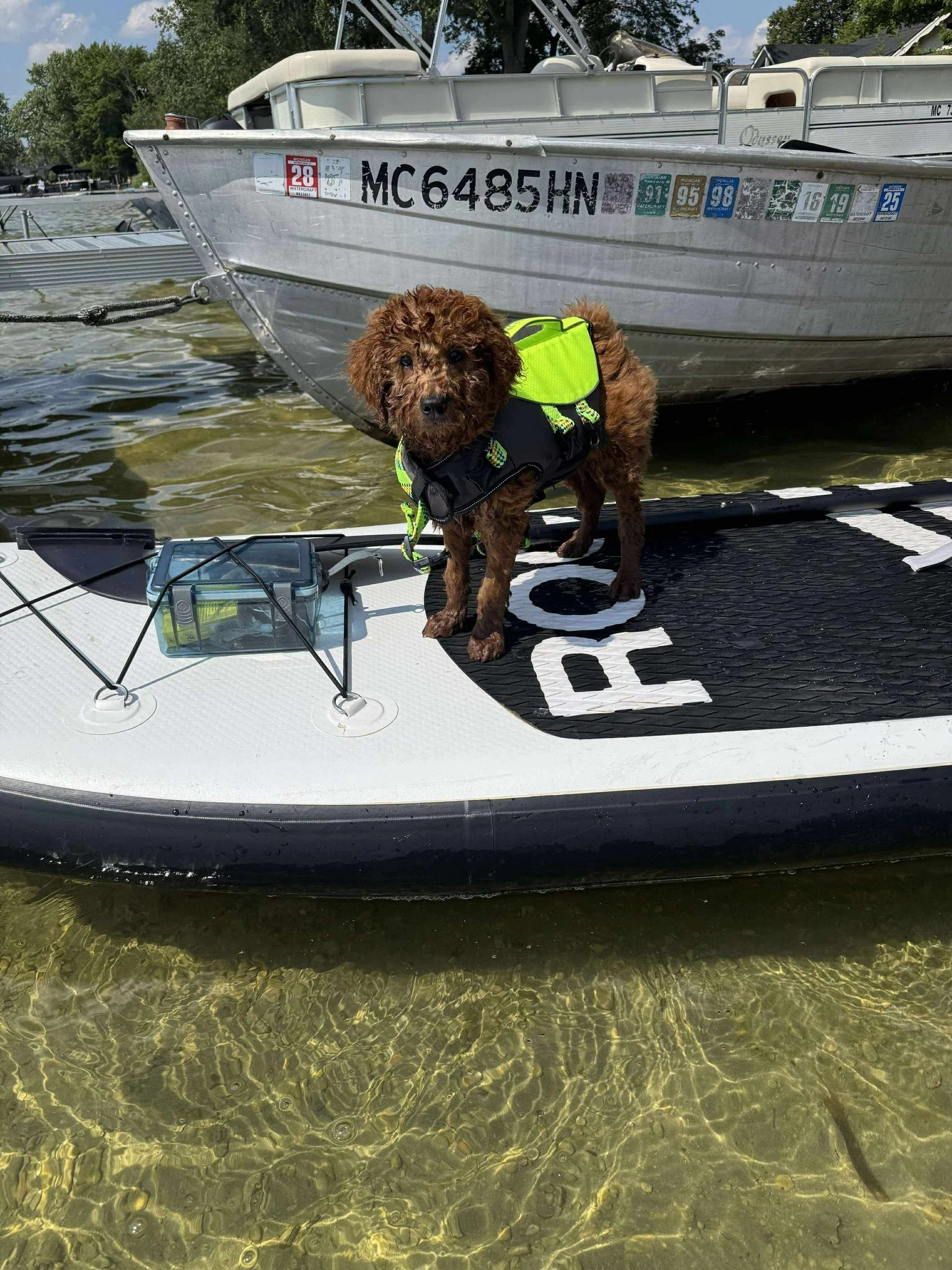 A small brown curly-haired goldendoodle wearing a bright yellow vest stands on the front of a paddleboard near a dock. A large aluminum boat is anchored nearby in clear water.