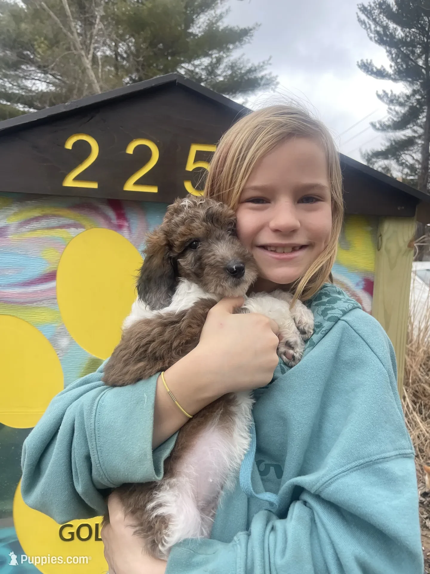 Clarice~Female~SOLD~$1,800