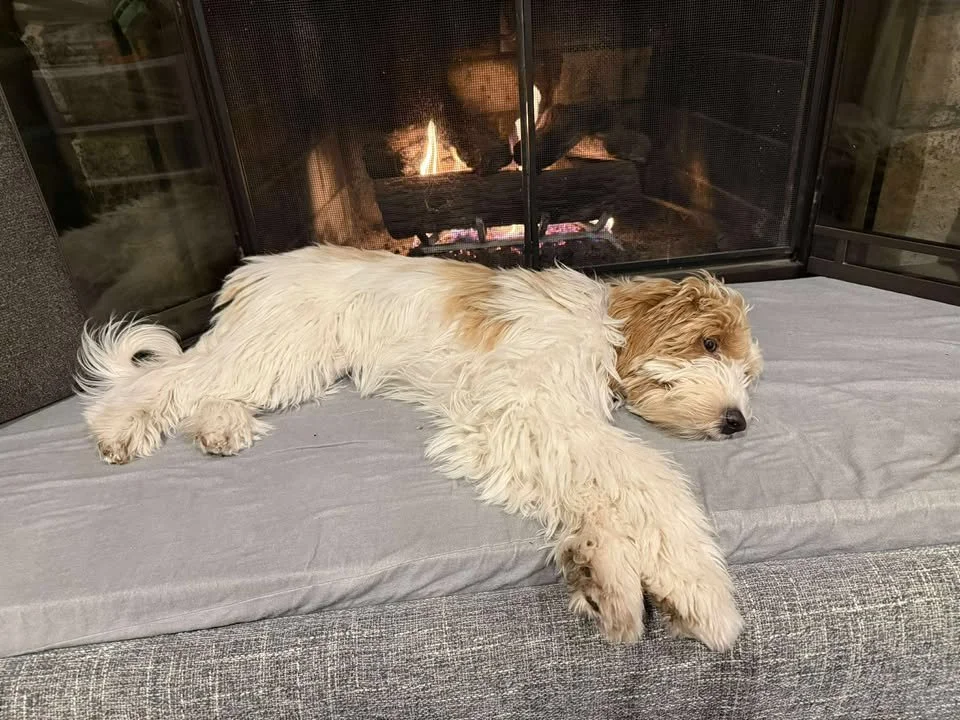 565430024_1534429501244514_2003678034797134653_n (1).jpg