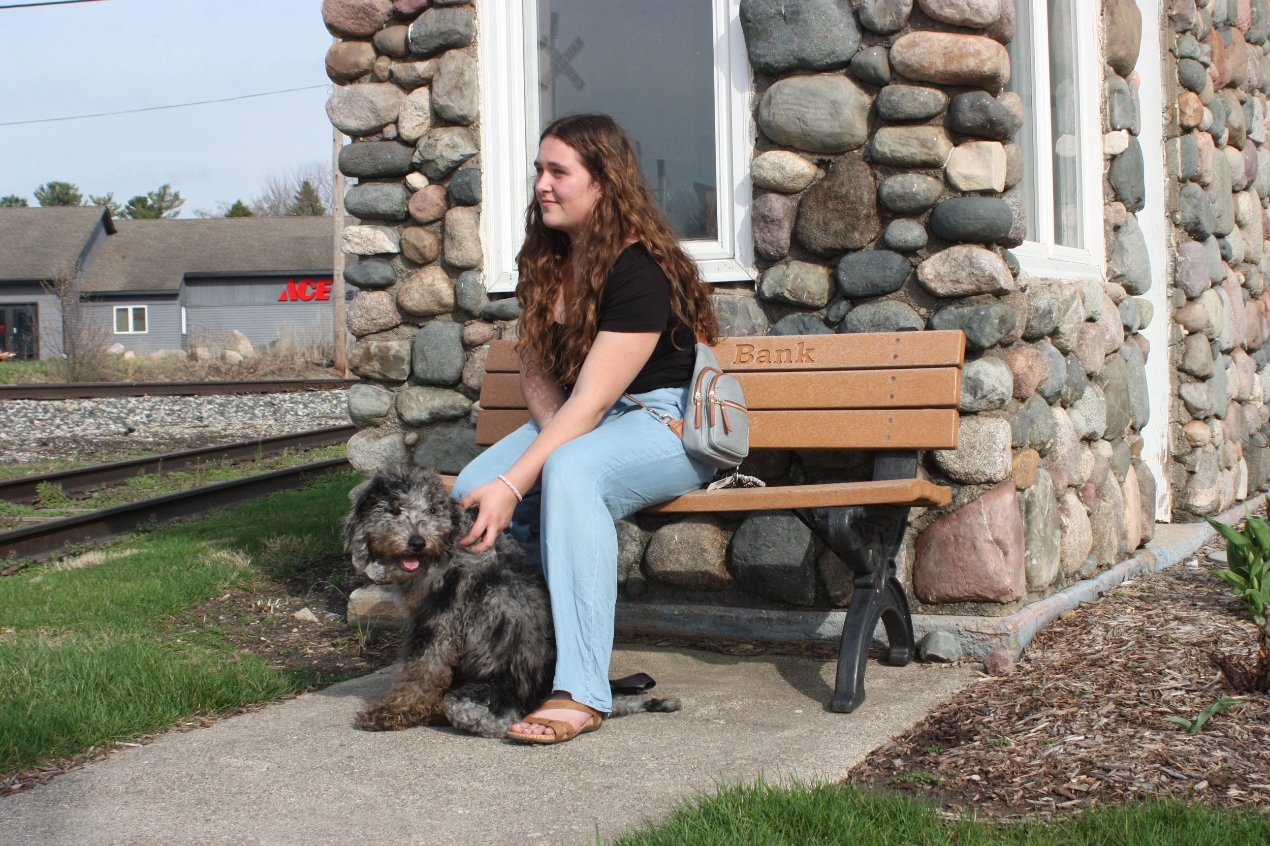 Dasher~Tri-merle~Available~$2,500