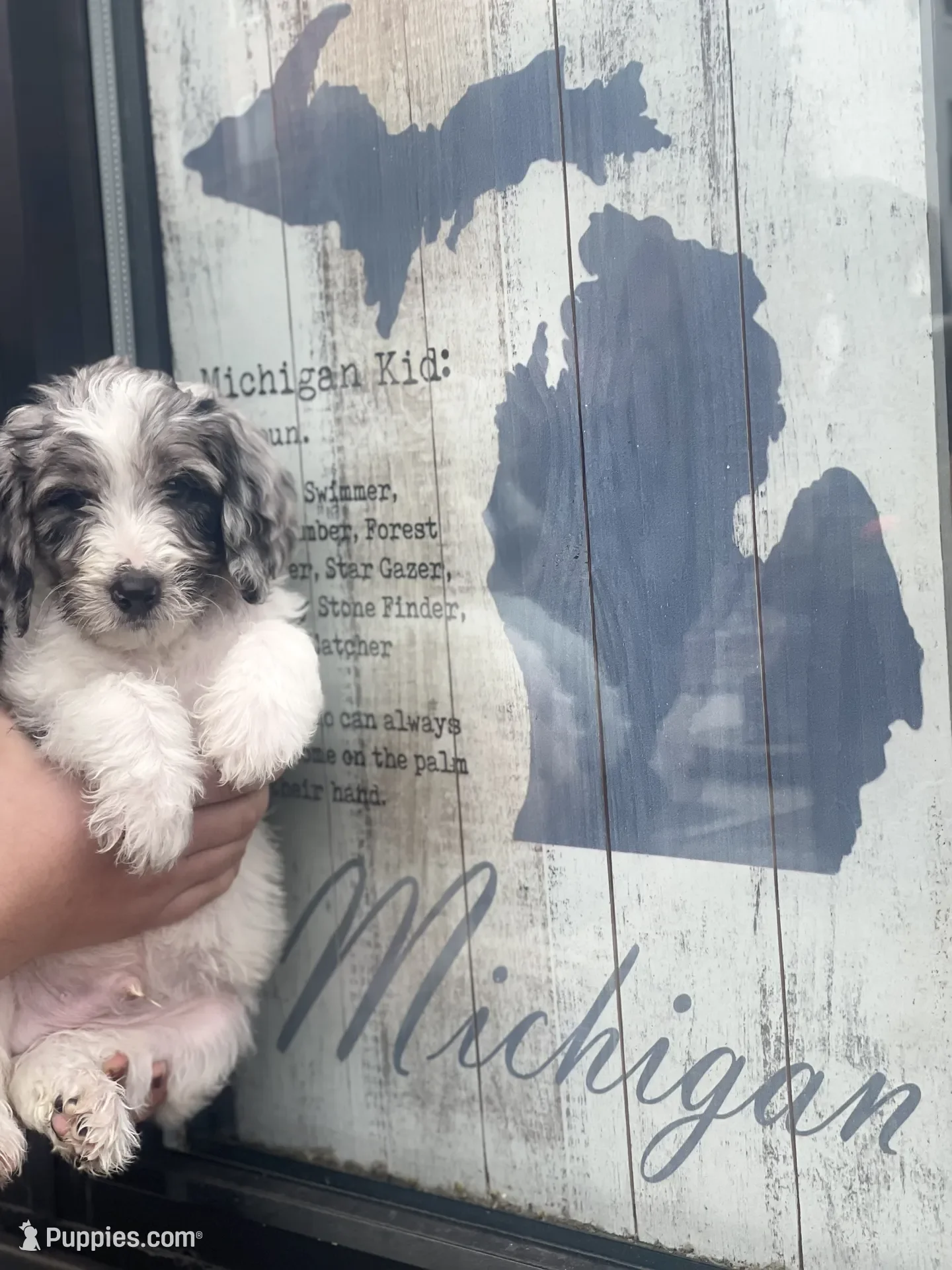 Hermey~Male~Reserved~$1,600
