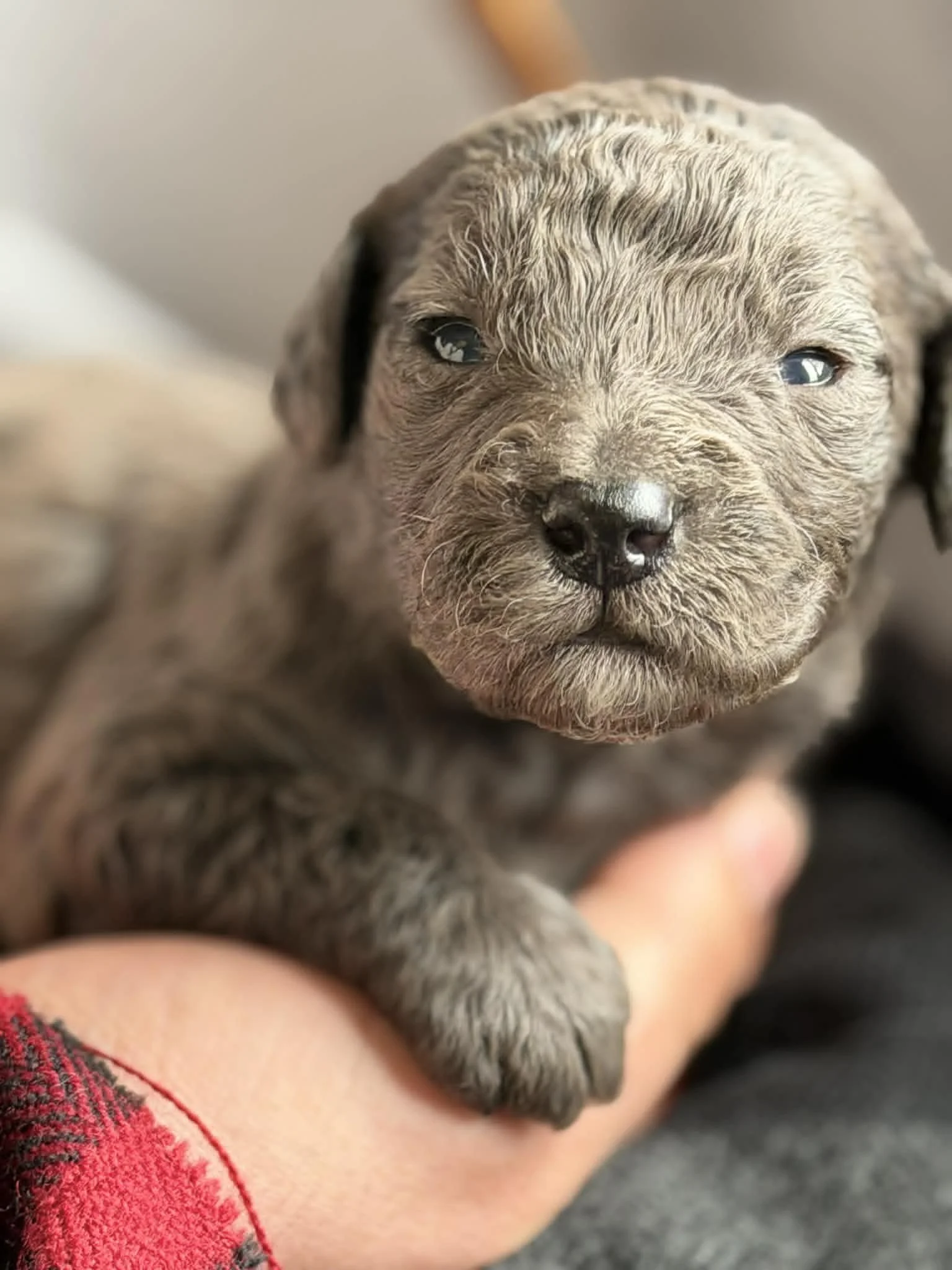 MACK/MALE/$2,400/RESERVED