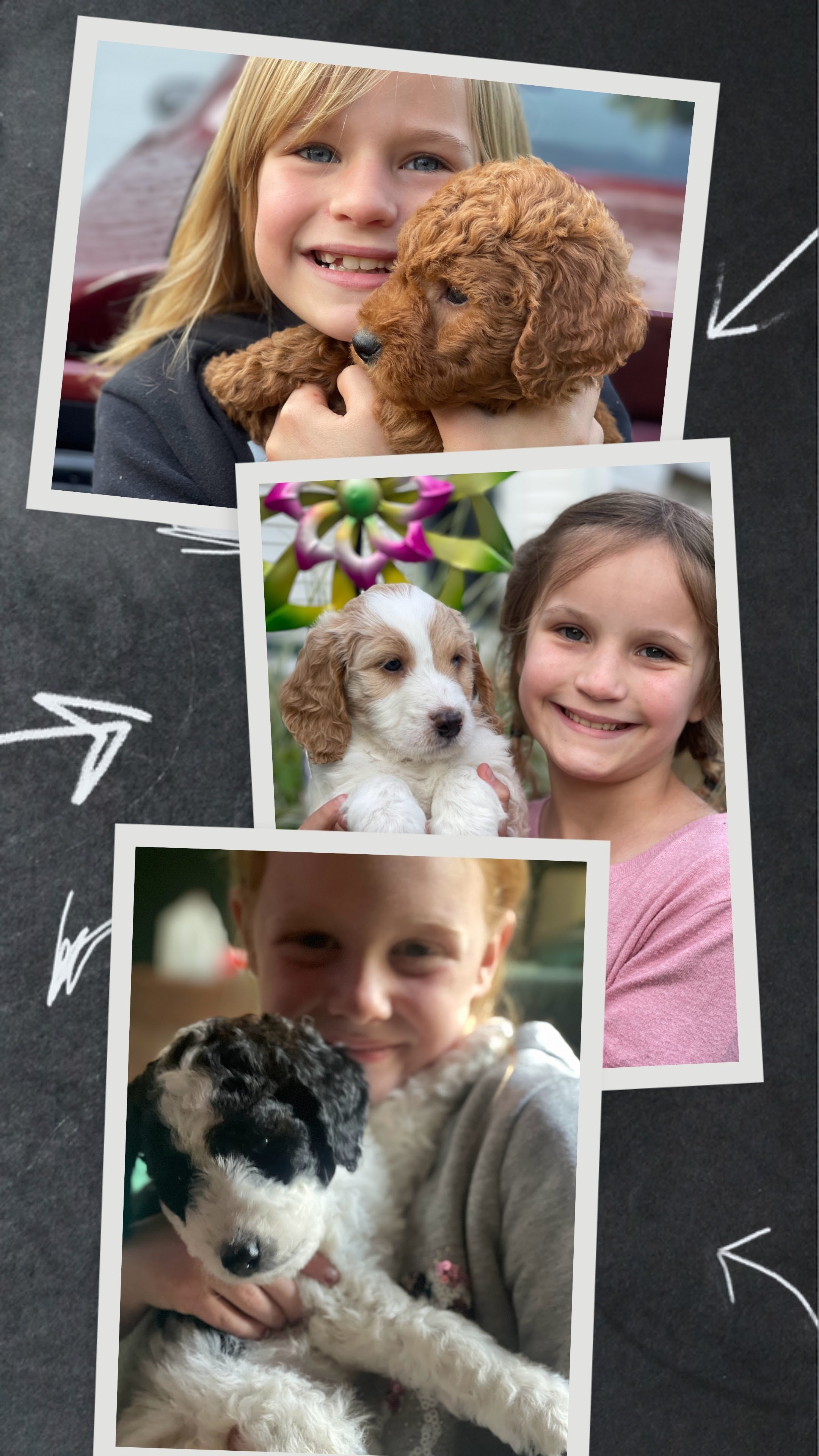 IMG_2374-COLLAGE (1).jpg