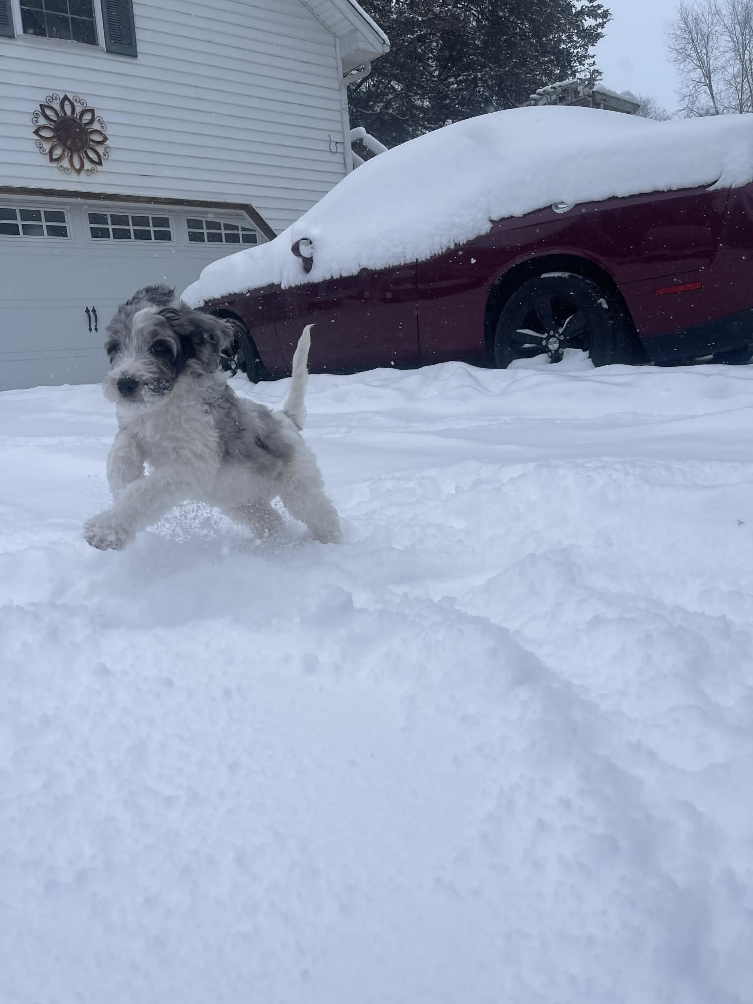 Hermey~Male~Reserved~$1,600
