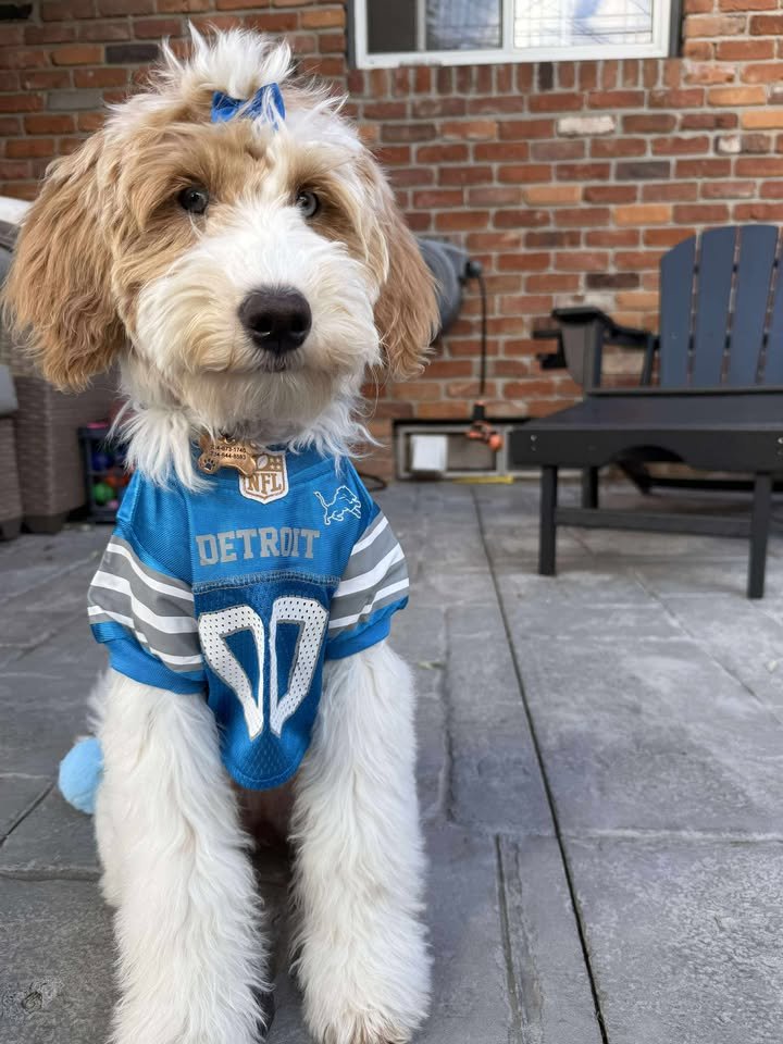 557062280_1394882792248614_4878413694052157105_n (2).jpg