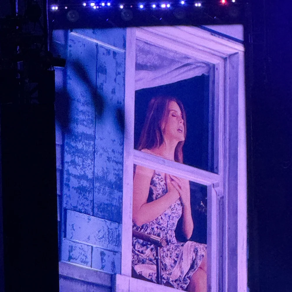 Lana in the window