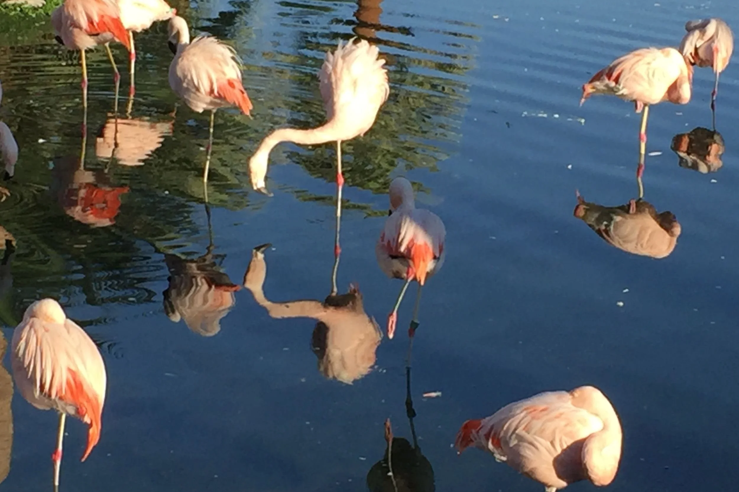 JW Marriott Palm Springs: An Ideal Base for Coachella and Other Desert Trips