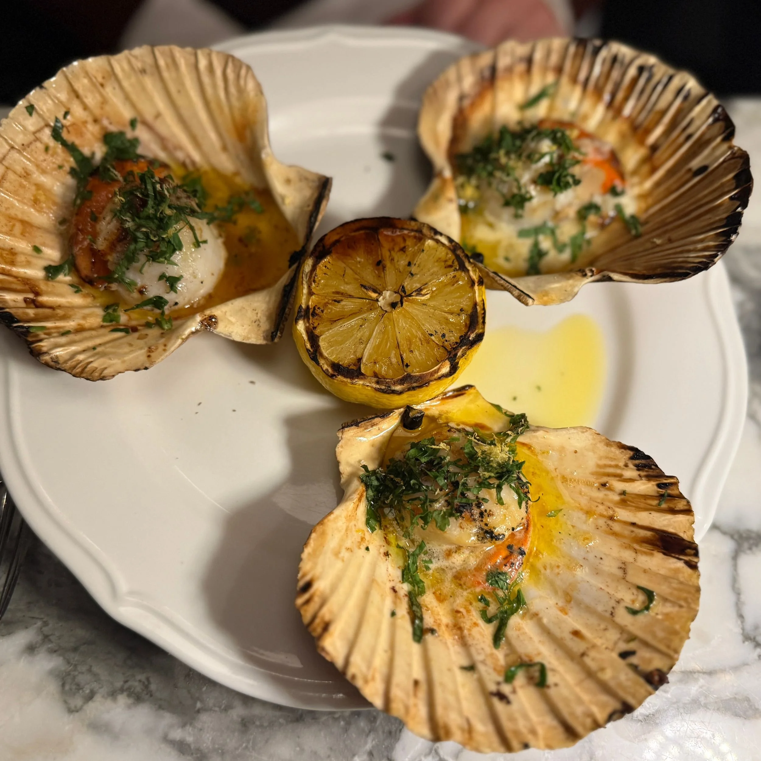 Scallops