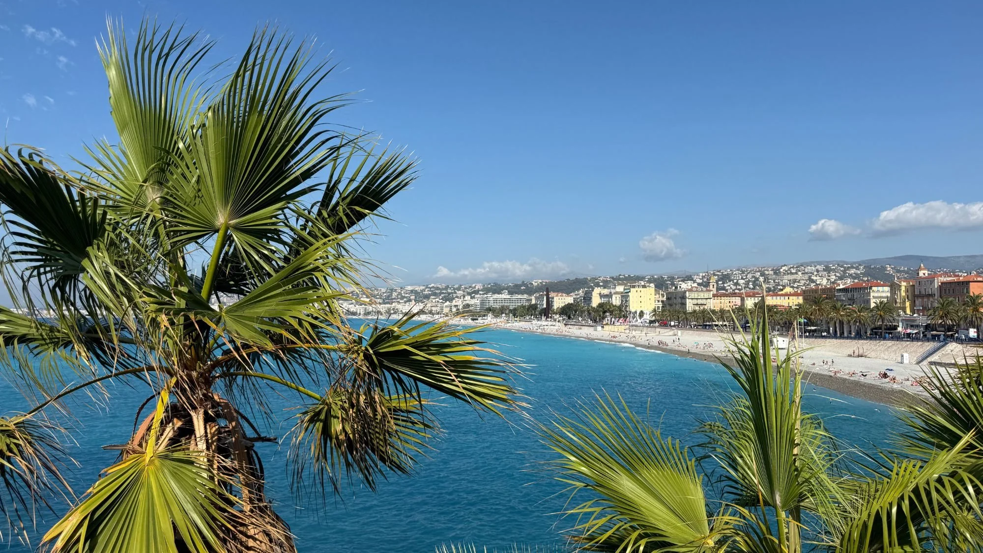  Looking out across the sweeping pebble beach and turquoise water of the Bay of Angels framed by green palm trees in Nice France. 