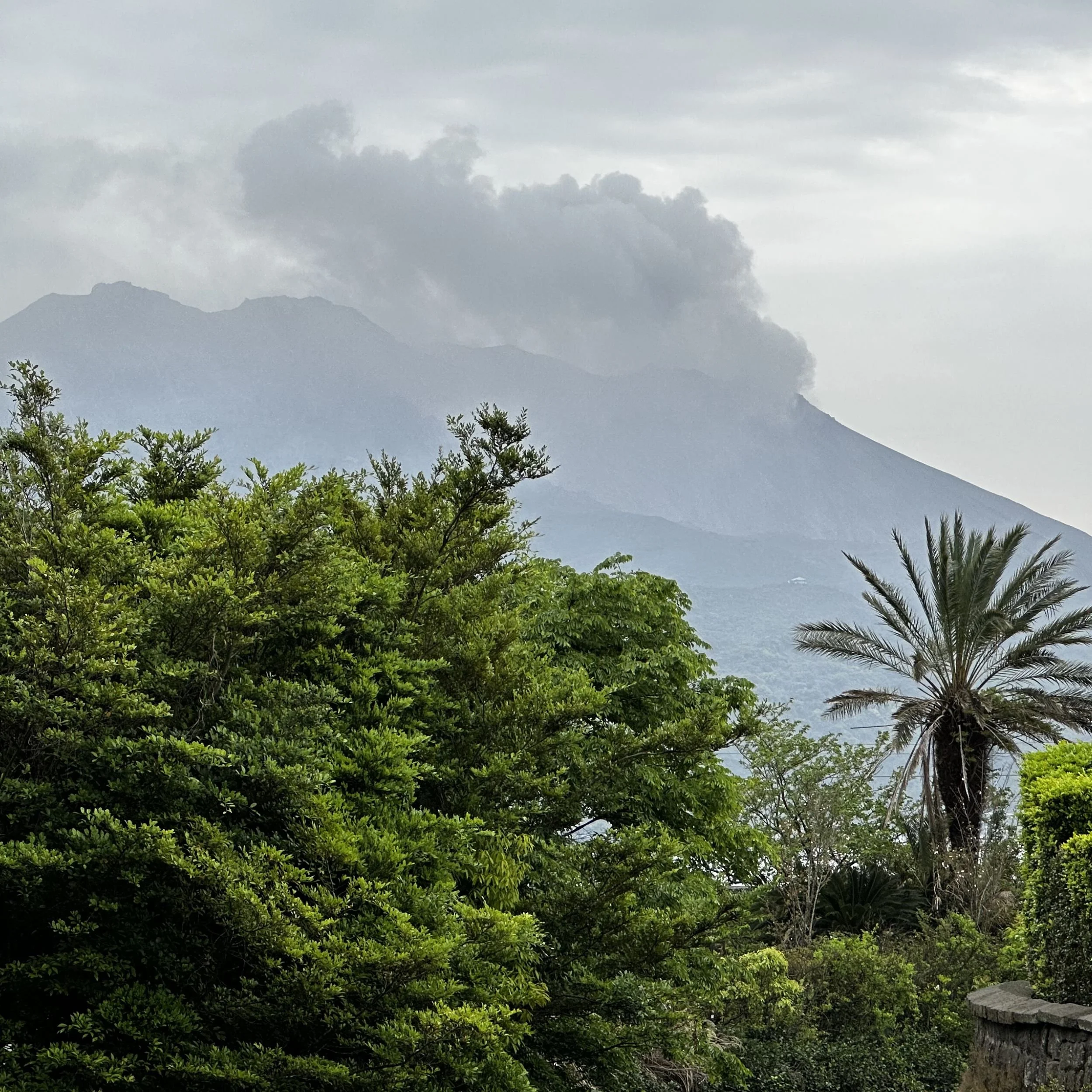 Sakurajima volcano seen from Sengan-en in Kagoshima with dark smoke rising above trees and palms