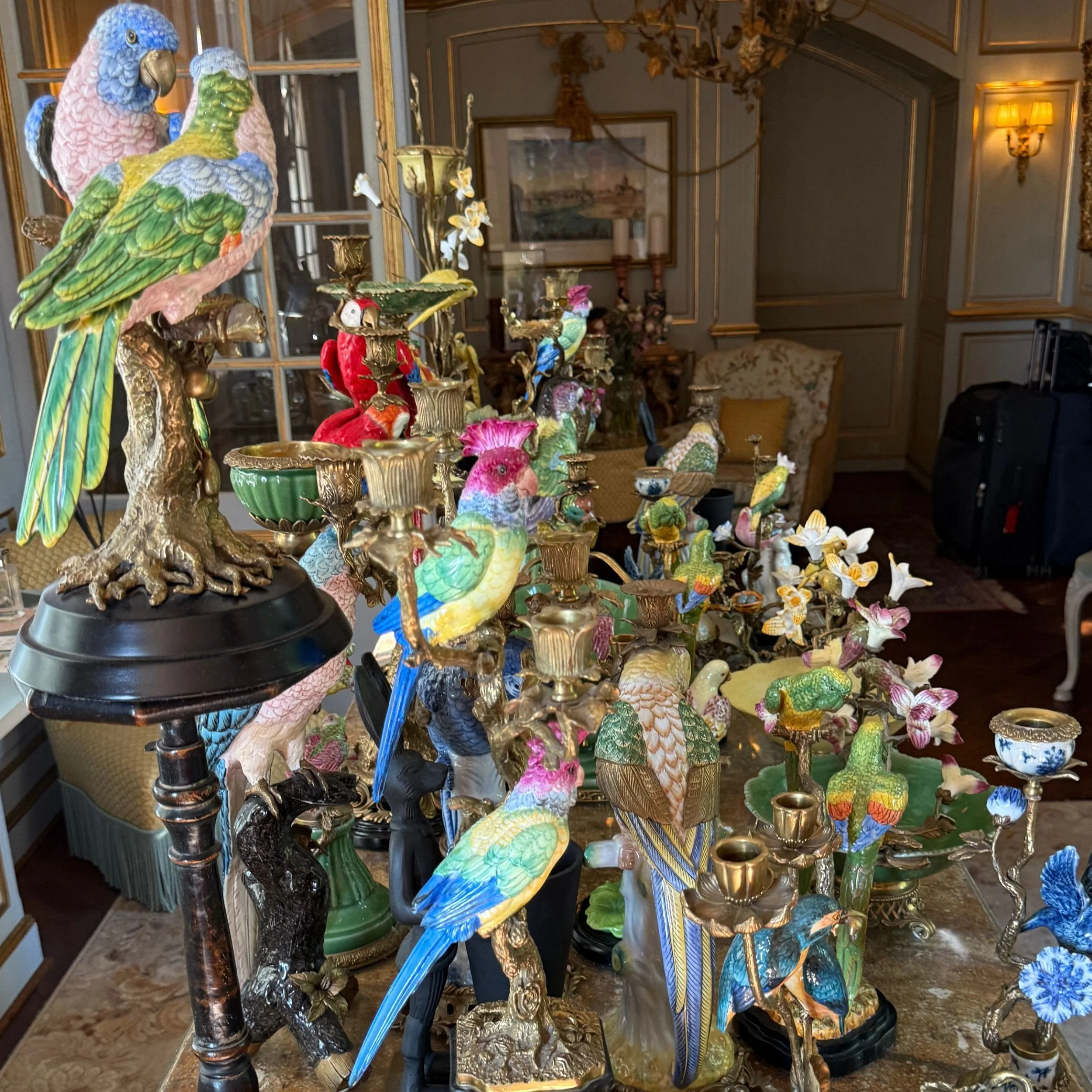 Porcelain parrot collection on the reception table at Villa Gallici in Aix-en-Provence