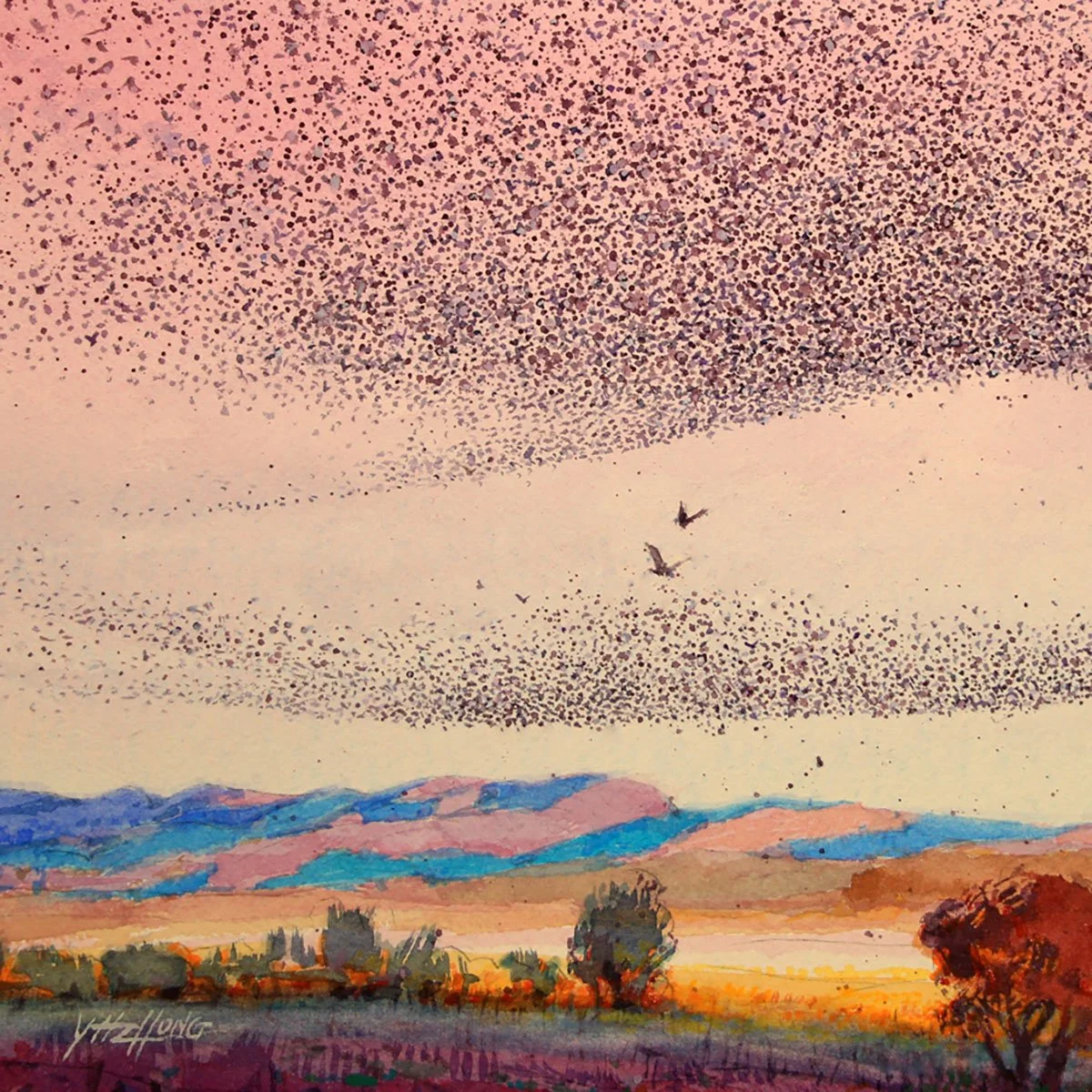 Murmuration.jpg