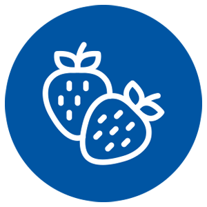 Icon of two strawberries on a blue circular background.