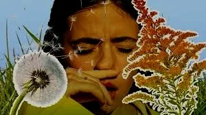 Can Acupuncture and Herbs Help Allergies? 