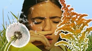 Lymphatic Support and Chinese Herbal Medicine for Seasonal Allergies