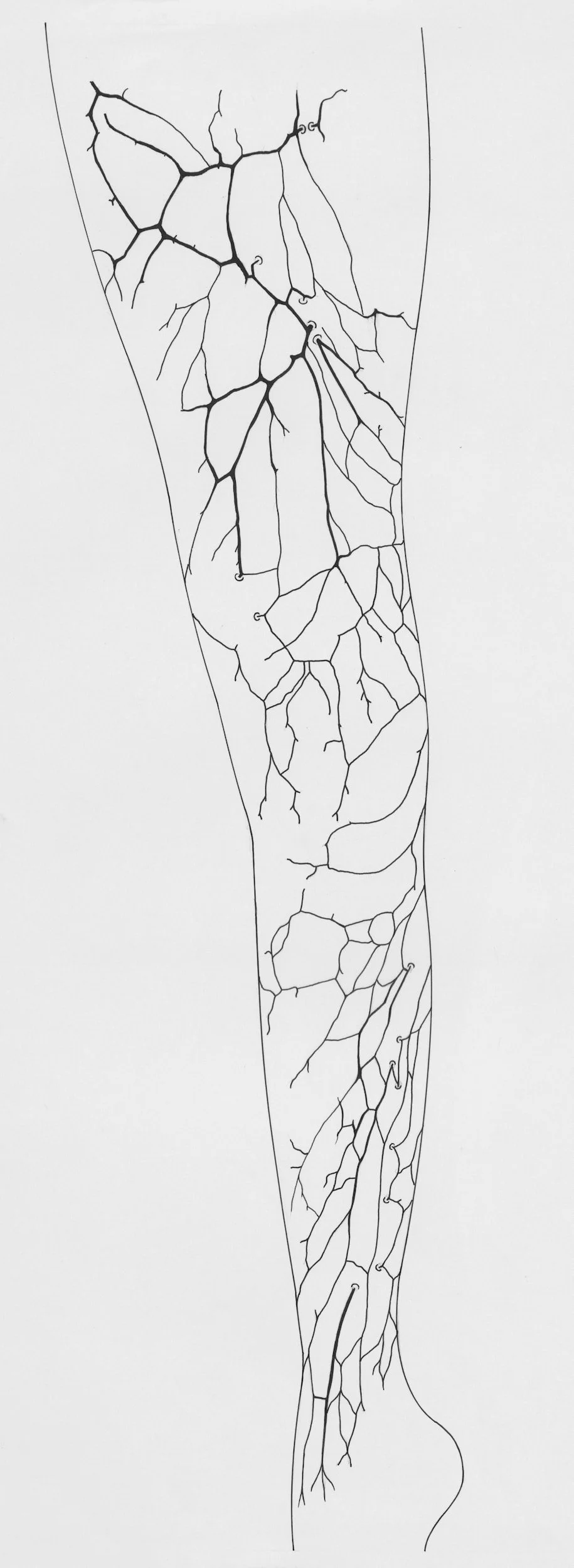 Is It Really Lymphatic Drainage? How to Know You're Getting the Real Thing