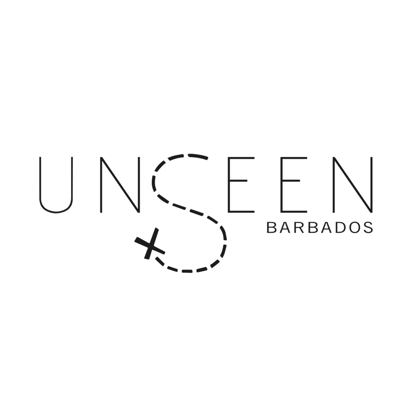 Ali+Rasoul x Unseen Barbados.png