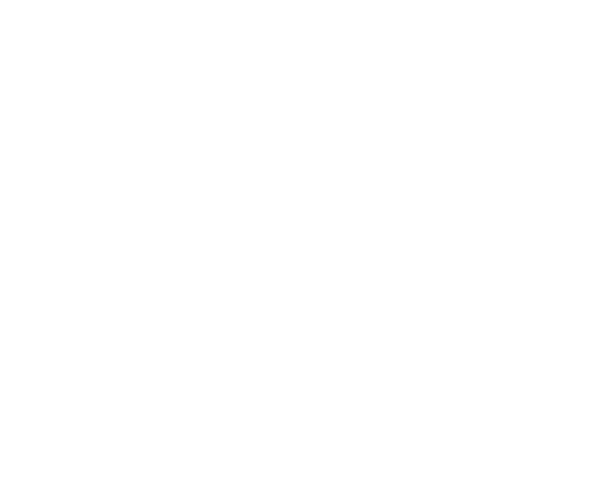 Outline drawing of a megaphone with lines indicating sound coming out.