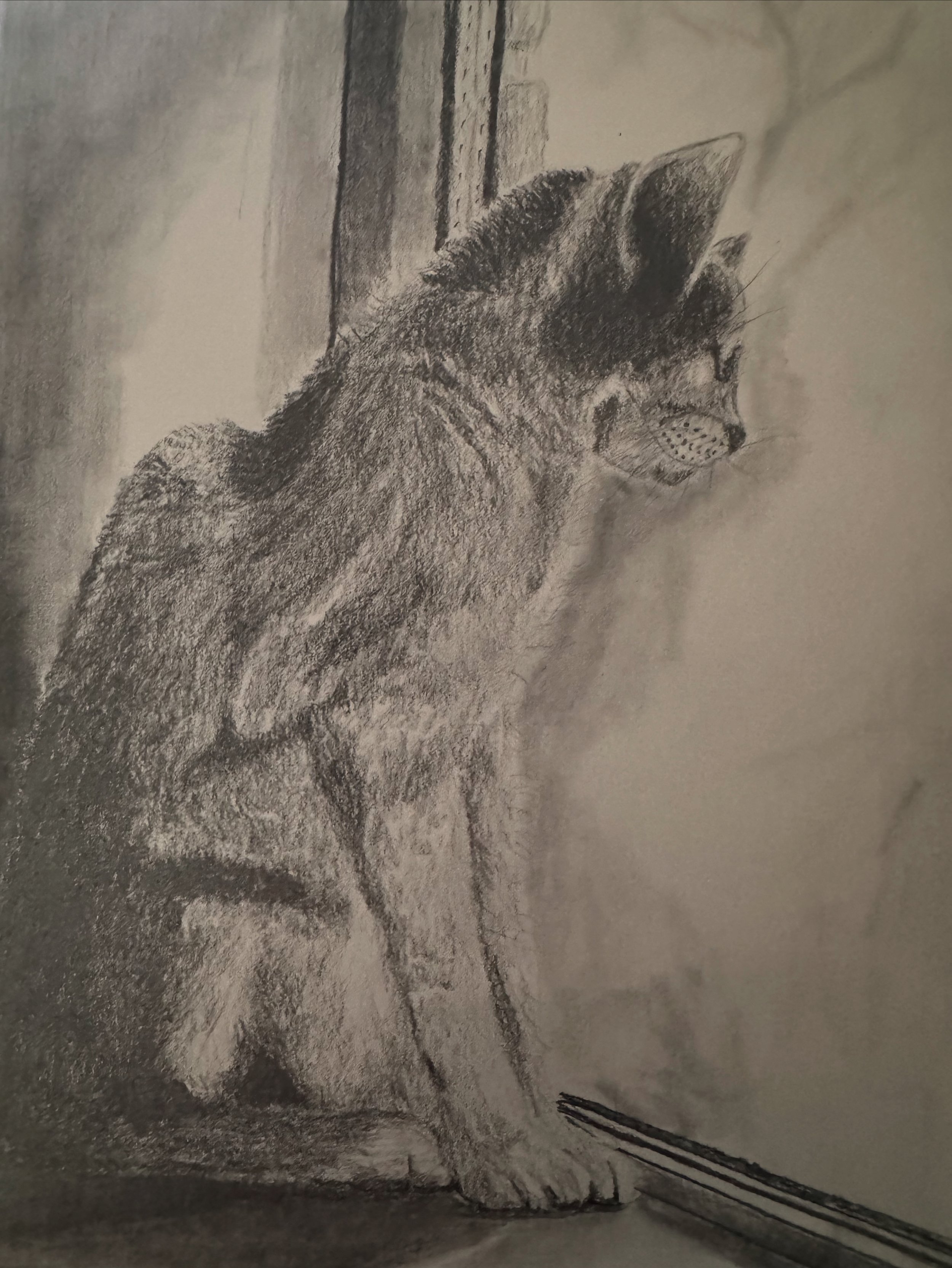 Sunday Summary: What am I learning from my focus on pencil drawings?
