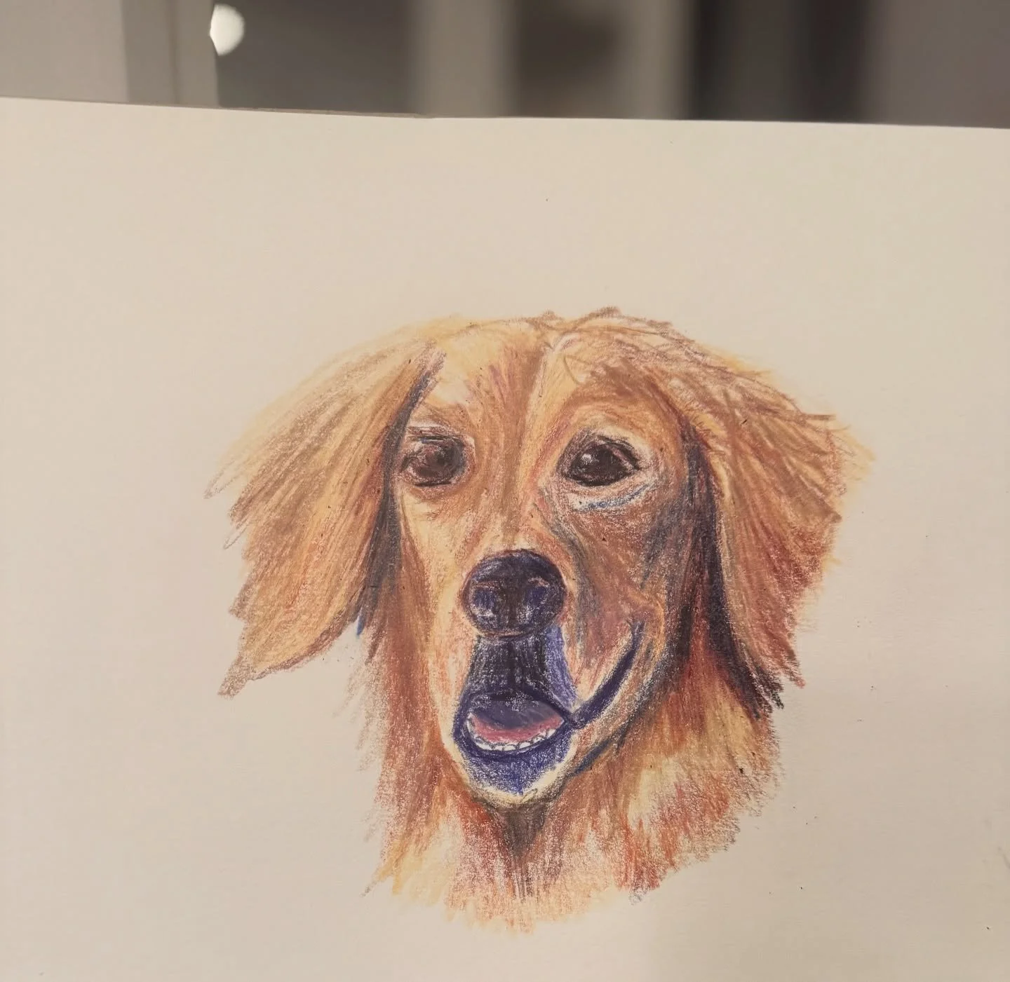 Been busy with new job and life, but wanting to stay creative, I allowed myself a timed sketch of a dog. Having never done a dog before, and being time limited, i don&rsquo;t think it&rsquo;s too shabby. Must keep practicing though! #iterativedevelop