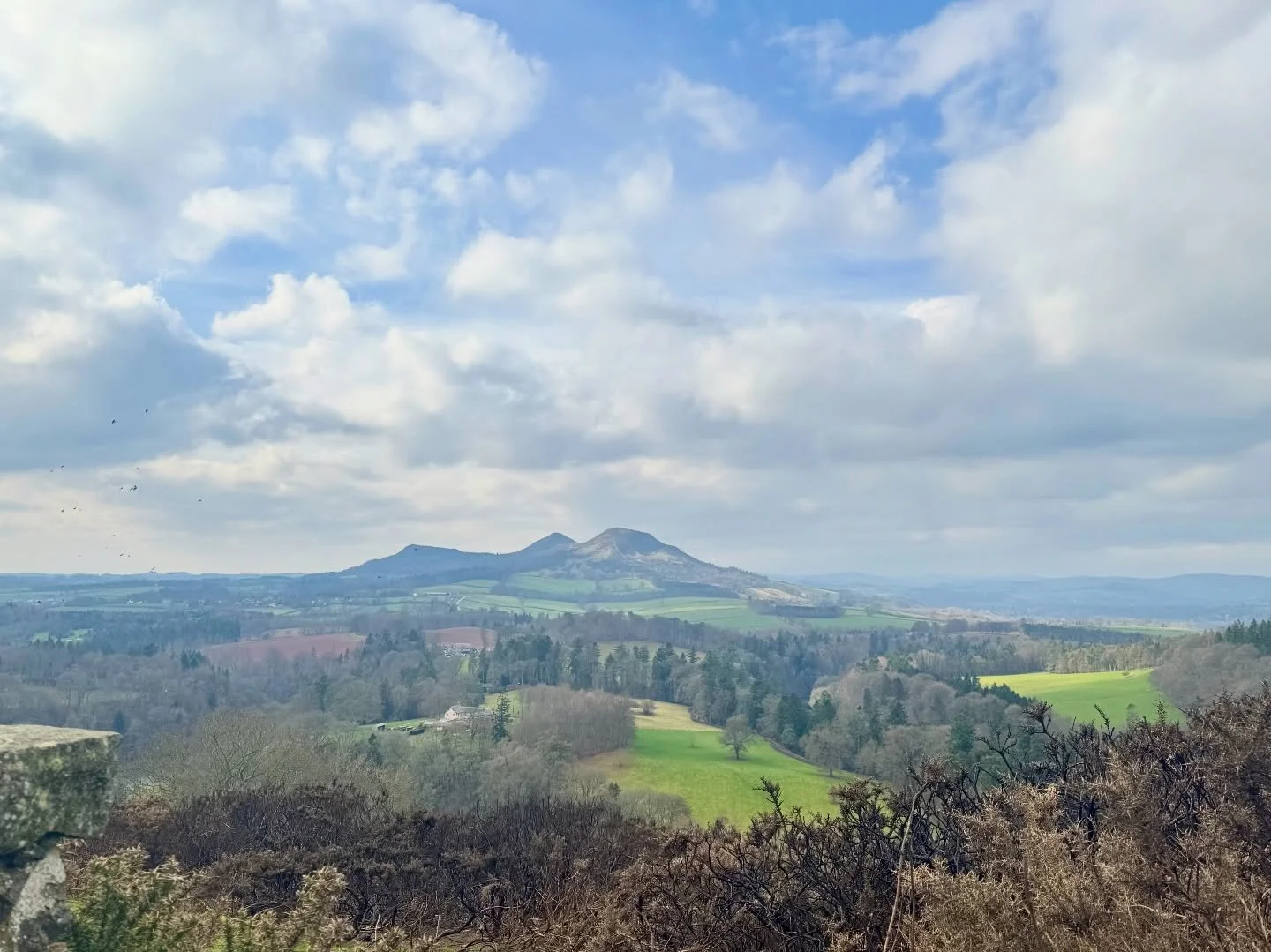 Scott&rsquo;s View. So quiet up here. All you can hear are birds, the river, and the wind.