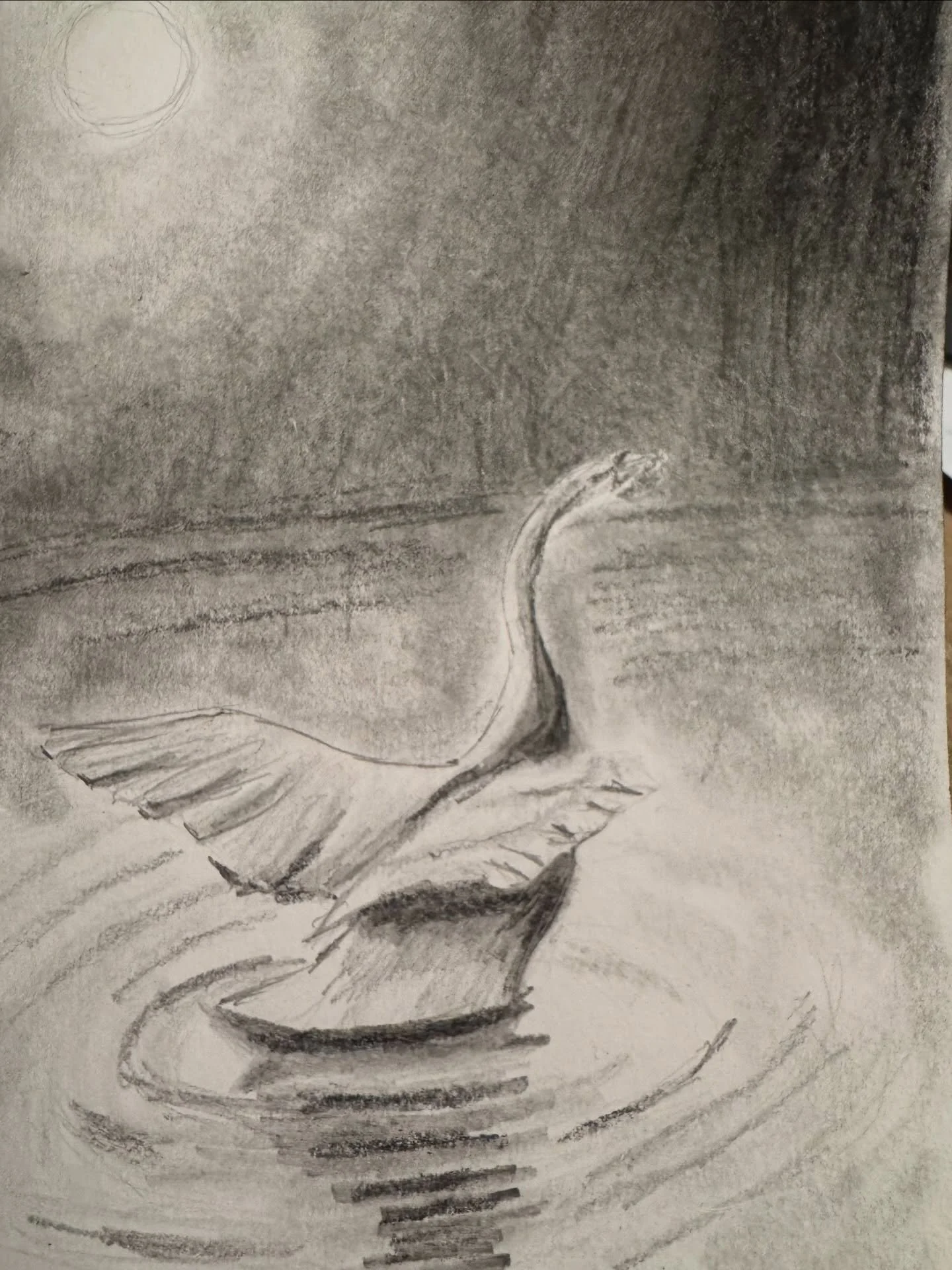Bit of Sunday night sketching. Swan in moonlight with just basic pencil and paper. #pencildrawing #sketching #swansong #swan #artistsoﬁnstagram