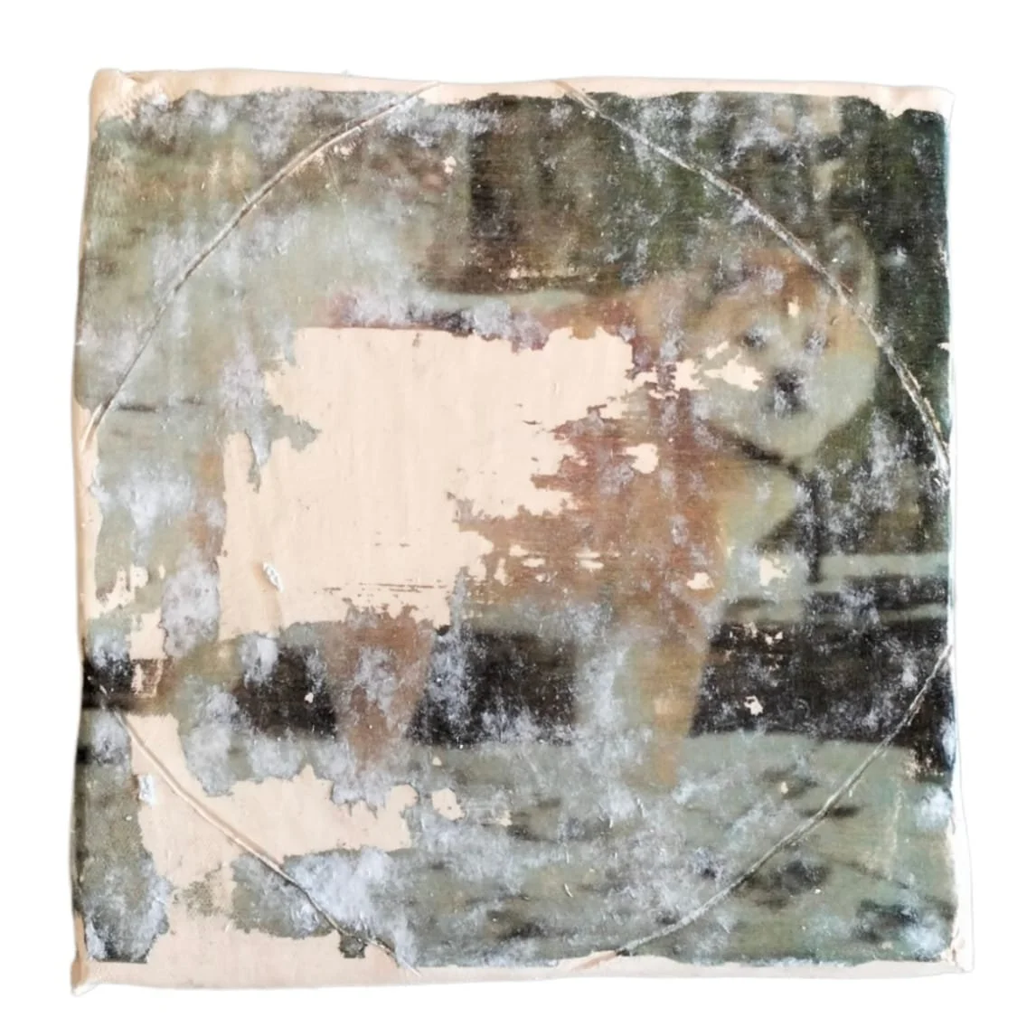 WhatsApp Image 2025-05-31 at 19.34.19 (8).jpeg