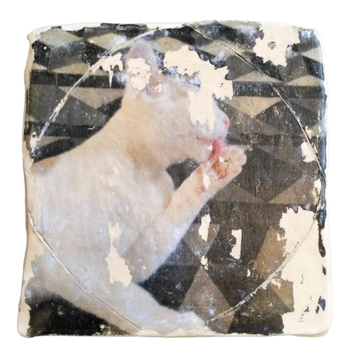 WhatsApp Image 2025-05-31 at 19.34.19 (1).jpeg