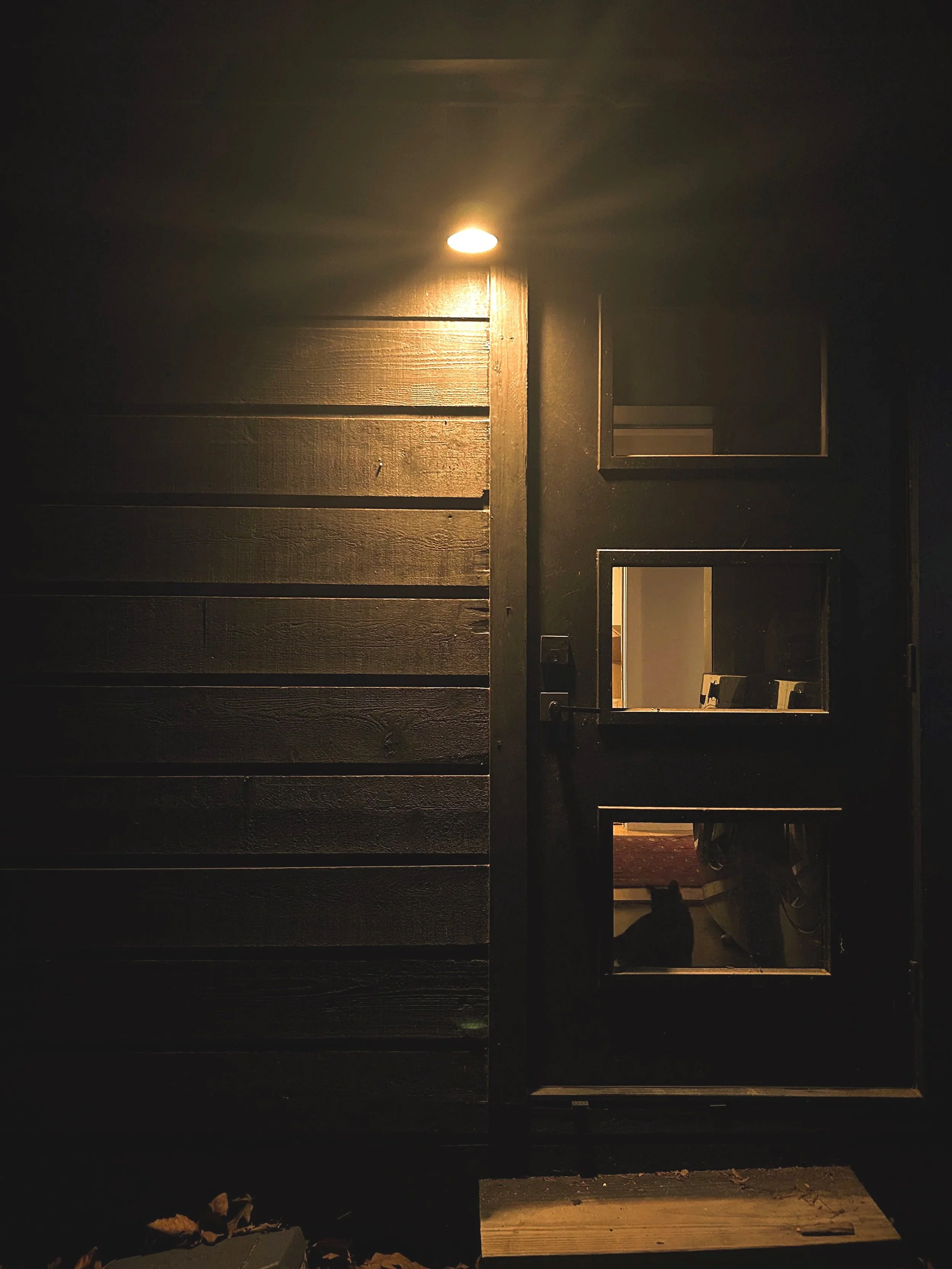 Your white exterior lights are bad for the ecosystem - a quick fix to protect biodiversity inside: