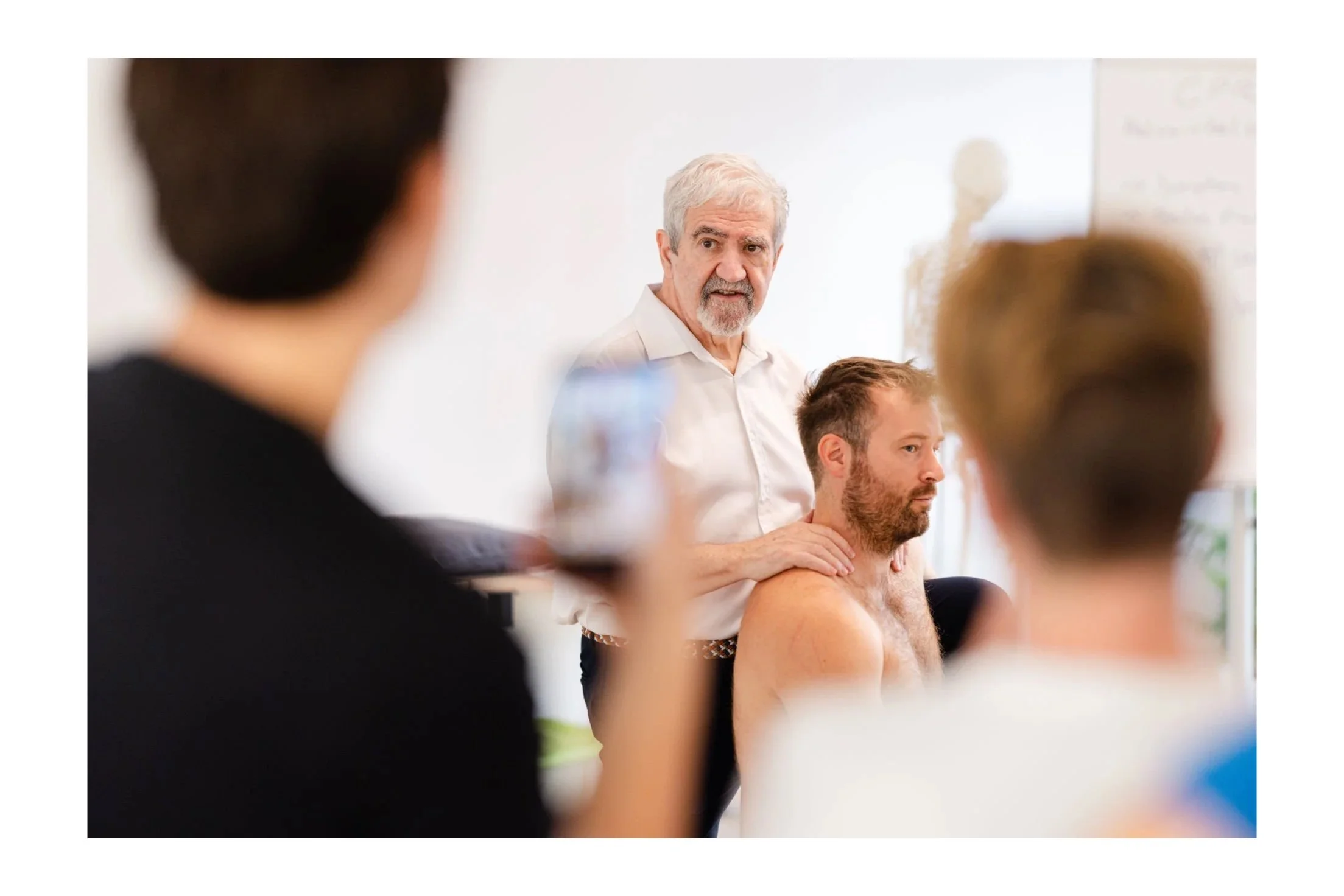 Louie Puentedura - Patient Centered Spinal Manipulation Kurs