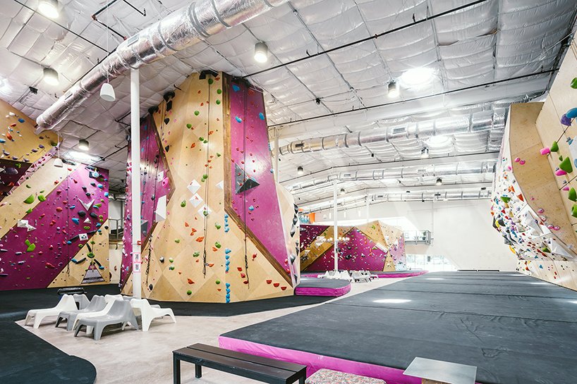 A continuous field of climbing walls dominates the interior, wrapped in magenta and birch with bold geometric shifts that mirror the energy of the community it serves.