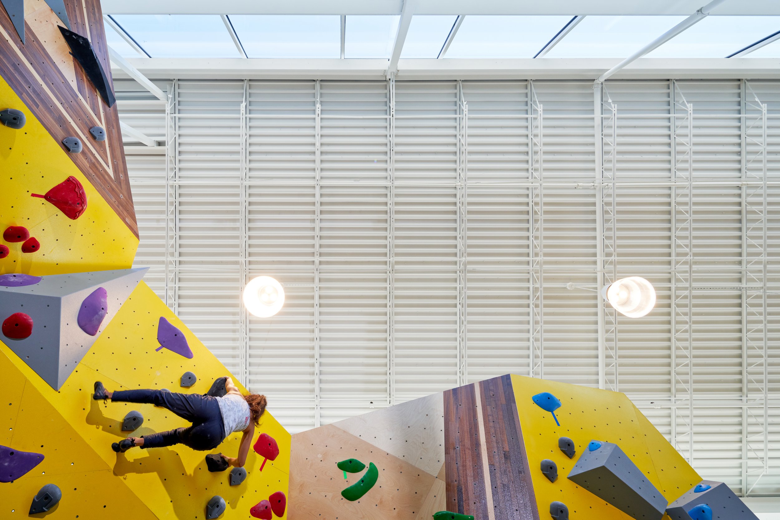 This upward view emphasizes the interplay between the sculptural climbing surfaces and the roof’s structural rhythm, with skylights delivering clean daylight along the spine of the space.