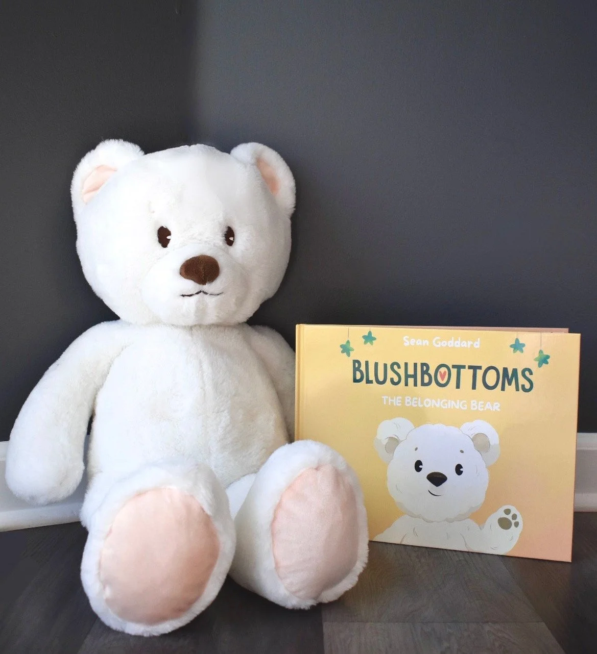 Bear with book combo