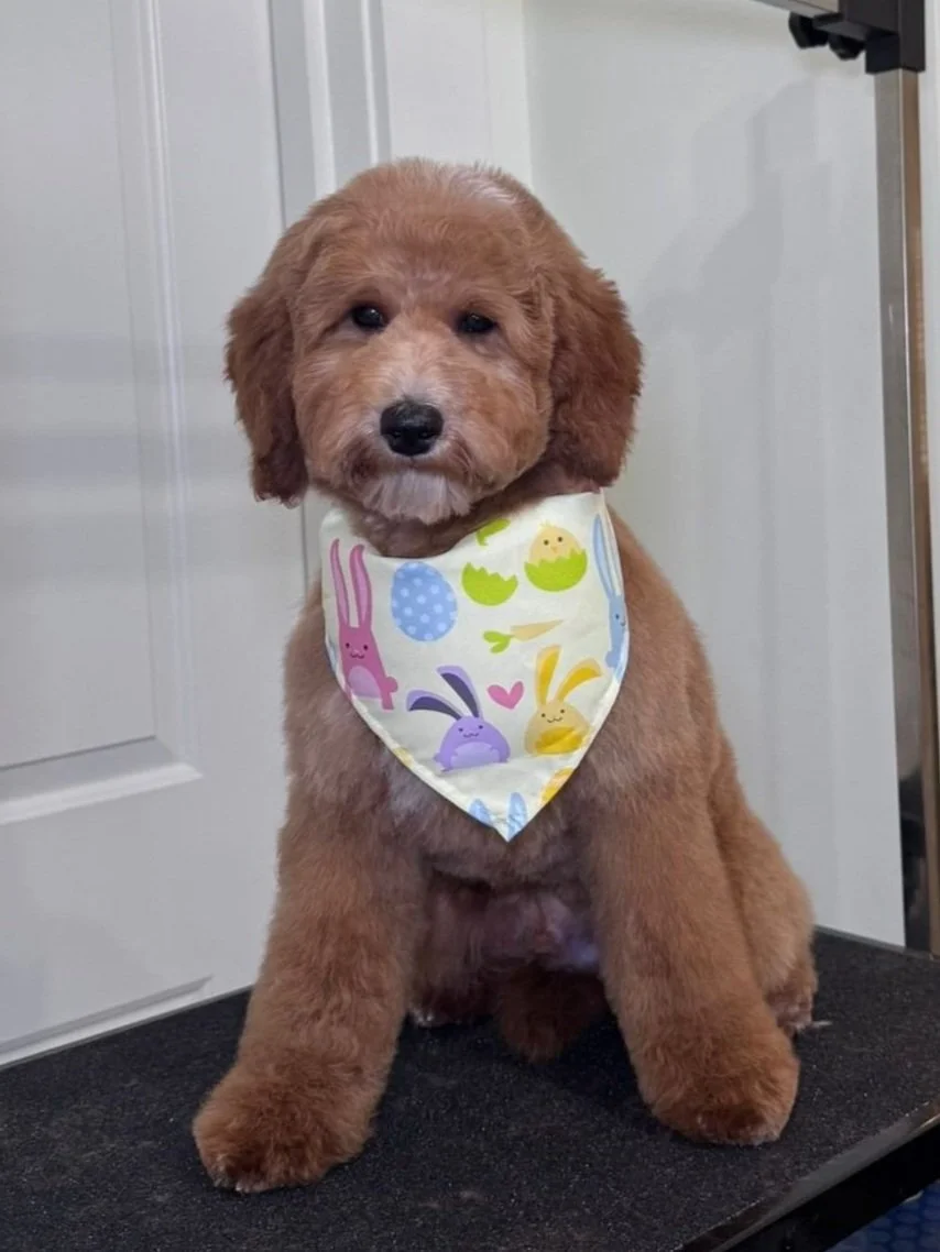 WhatsApp Image 2025-05-26 at 12.16.17.jpg