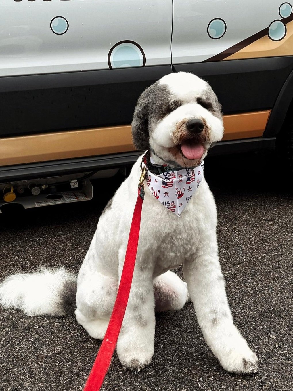 WhatsApp Image 2025-07-13 at 02.43.20.jpg