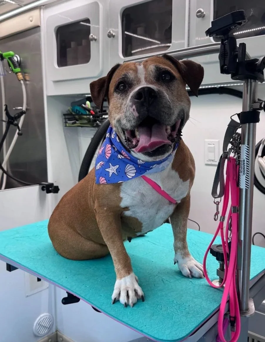 WhatsApp Image 2025-08-09 at 15.23.45.jpg